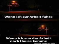 Der Arbeitsalltag: Nachtlichter-Saga