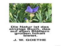Die Natur ist