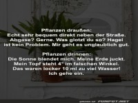 Dramatische Pflanzenbeschwerden