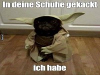 Schock in der Galaxis: Yoda's Urlaubs�berraschung