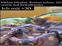 Warten auf Enkelkinder: Cat Edition