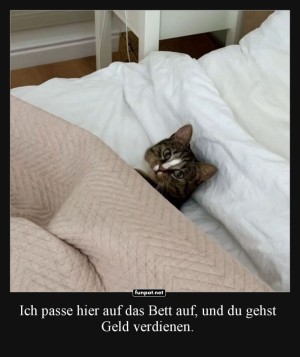 Katzenarbeit:-Kuscheln-im-Dienst.jpg auf www.funpot.net