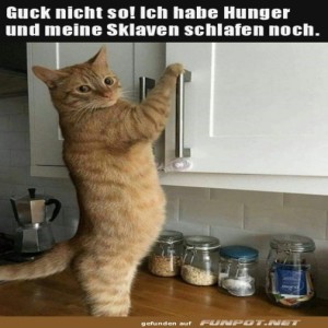 Begr&uuml;&szlig;ungsbild