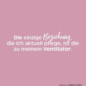 fun-Bild: Luftige Beziehungen exklusiv!