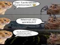 Tankrabatt-Debatte mit Katzen!