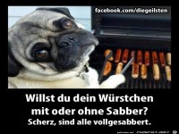 Grilhund
