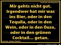 diegeilsten nicht gut