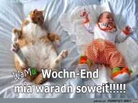 Wochenende, wir wären soweit!