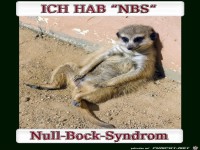 ich habe NBS