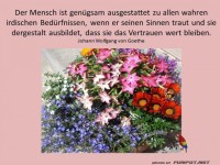 Der Mensch ist genuegsam