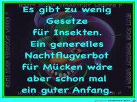 Es gibt zu wenig Gesetze...