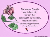 Die wahre Freude am Leben