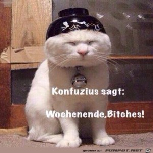 Begr&uuml;&szlig;ungsbild