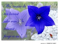 Was immer du tun kannst 2