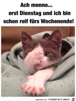 Dienstag.jpg auf www.funpot.net