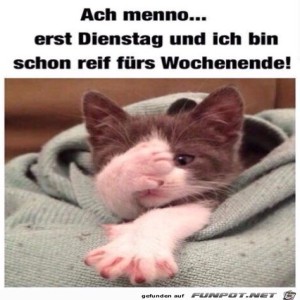 Begr&uuml;&szlig;ungsbild