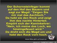 Der Schornsteinfeger kommt auf den Hof des Bauern und sagt