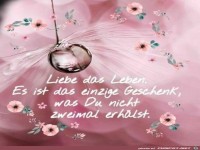 Liebe das Leben