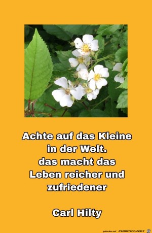 achte-auf-das-kleine.jpg auf www.funpot.net