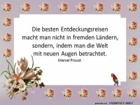 Die besten Entdeckungsreisen