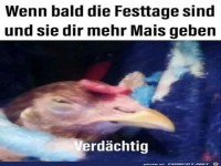 Mehr Mais wegen der Festtage