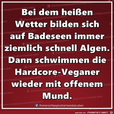 Veganer.jpg von Mia