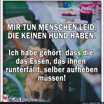 Mir-tun-menschen-leid.jpg von Fabioma