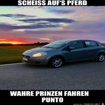 Wahre-Prinzen.jpg von Heather