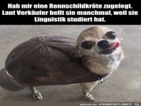 Rennschildkr�te