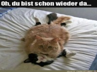 �berrascht worden