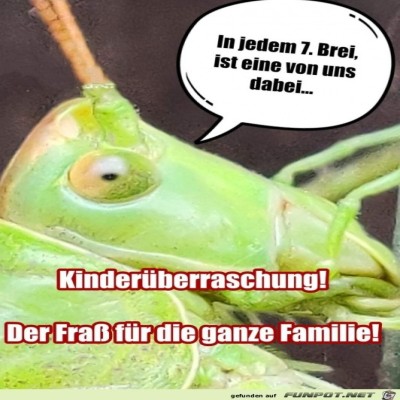 In-jedem-7.-Brei.jpg von Theda