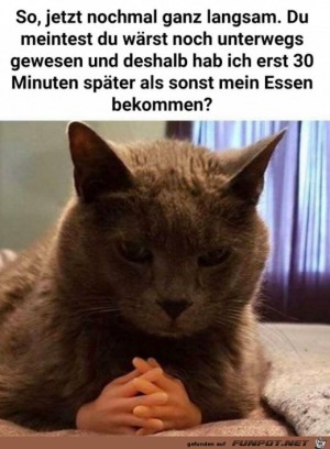 Jetzt-nochmal-langsam.jpg auf www.funpot.net