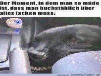 Man muss �ber alles lachen