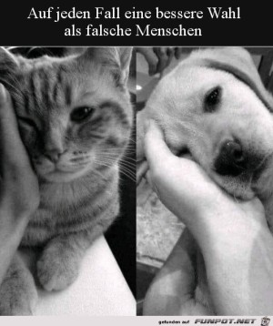 Die-bessere-Wahl.jpg auf www.funpot.net
