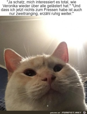 Nichts-zum-Fressen.jpg auf www.funpot.net