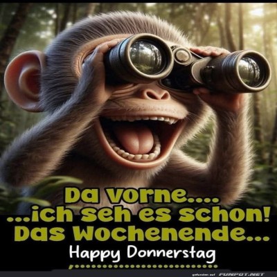 Affe-mit-Fernglas-sieht-Wochenende.jpg von Celina93