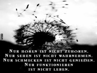 Nachdenkliches Zitat mit Lwenzahn