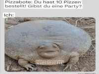 Lustiges Meme: Pizza und Partys