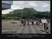 Hundemeeting im Freien: Streuner im Denkmoment