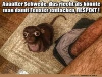Die Nase wei� Bescheid!