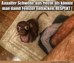 Die-Nase-wei-Bescheid!.jpg auf www.funpot.net