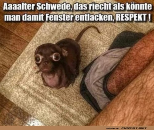Die-Nase-weiß-Bescheid!.jpg auf www.funpot.net