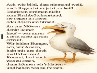 M�wenjammer: Kein Fischbr�tchen in Sicht