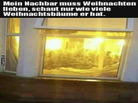 Weihnachtsbaum Overload beim Nachbarn!