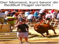 Der Anruf vor dem Flug