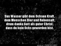 Warum Bier besser als Wasser ist