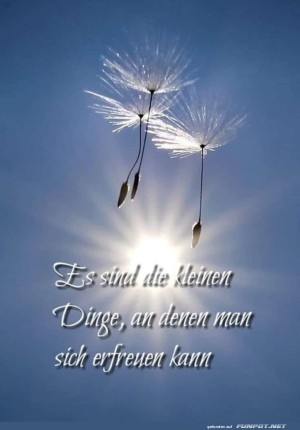 Fliegende-Fallschirme-des-Gl�cks.jpg auf www.funpot.net