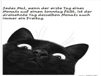 Katzenkalender und der Mathematik-Mystery