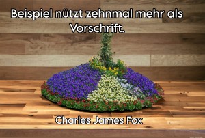 beispiel-n�tzt-zehnnmal.jpg auf www.funpot.net