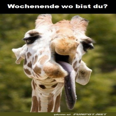 Wochenende.jpg von Justus2002